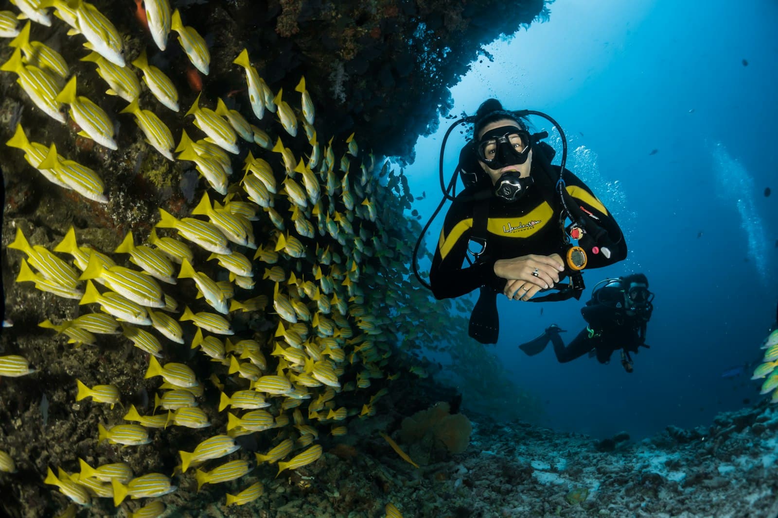 Havelock Discover Scuba