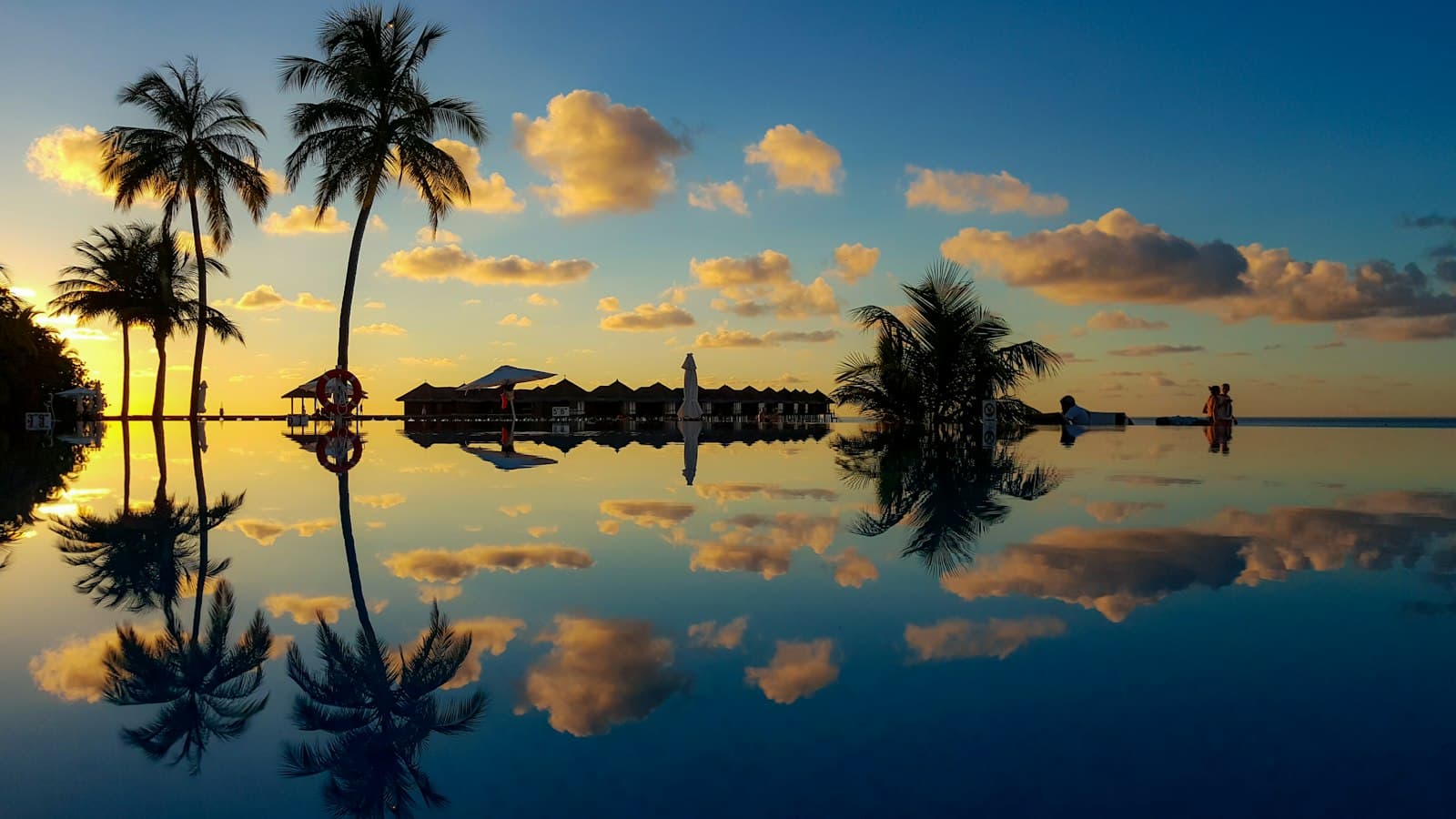 Palm trees silhouetted against a burning sunset and mirrored in still water